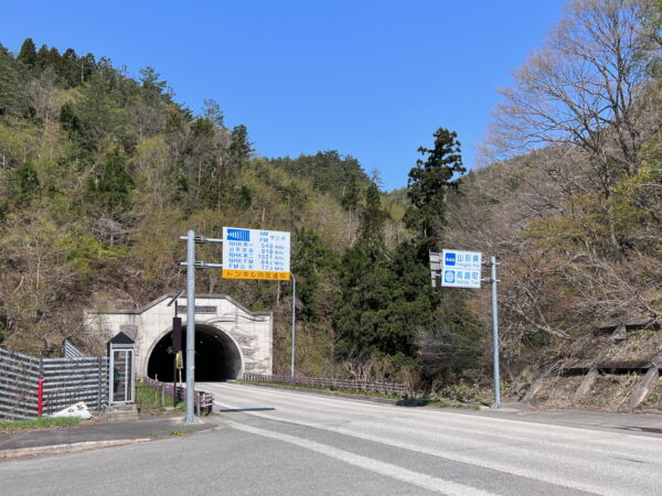 二井宿第二トンネル前の一本杉