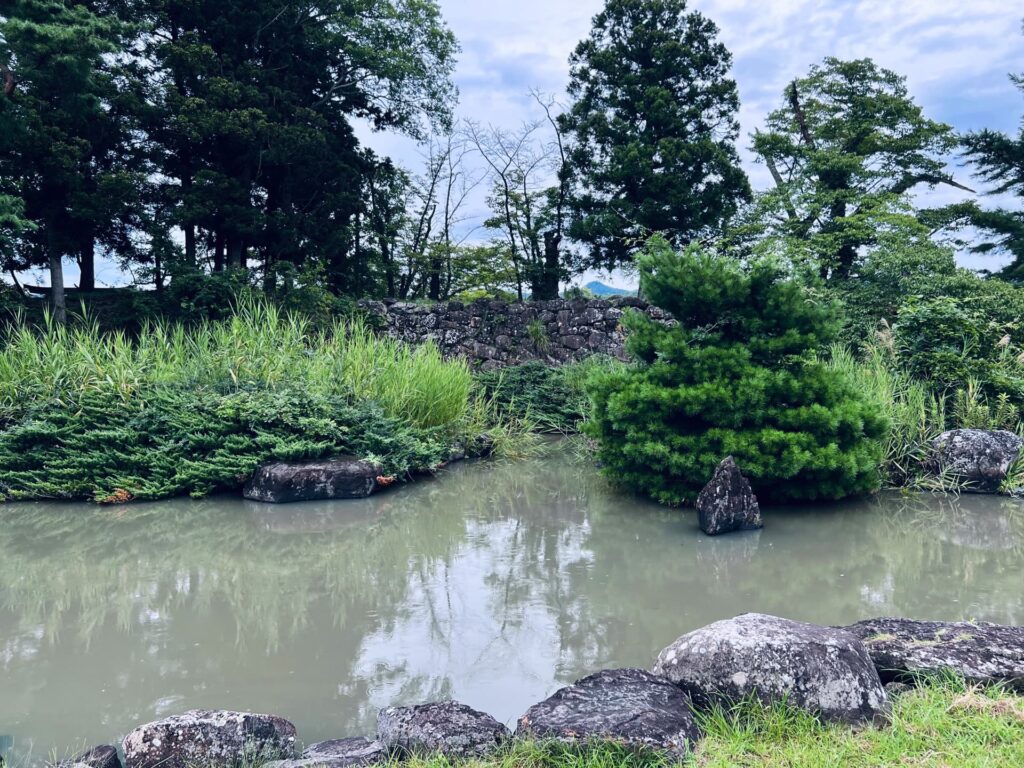 心字の池と本丸石垣