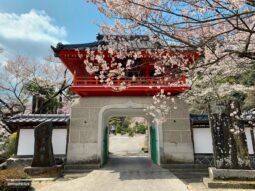白石山 常林寺