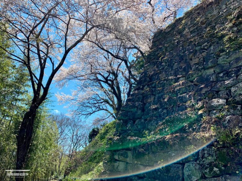 町指定史跡 金山城跡