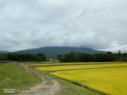 磨上原古戦場跡