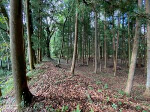 前川本城跡