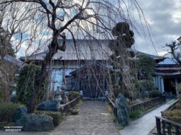 昌伝庵 本堂