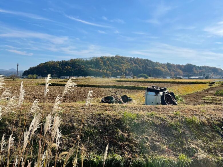大森城跡 遠景