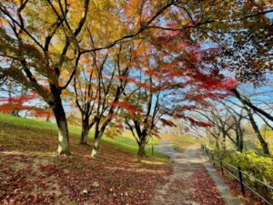 北館東の遊歩道