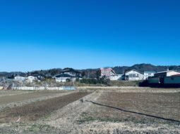 尾山城（金津城）跡 全景