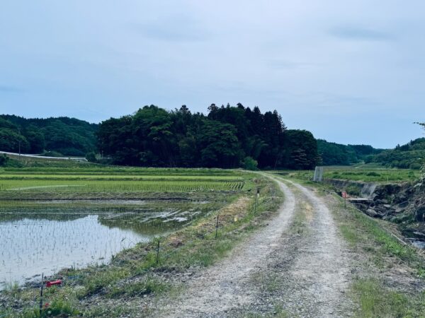 刈松田城 遠景